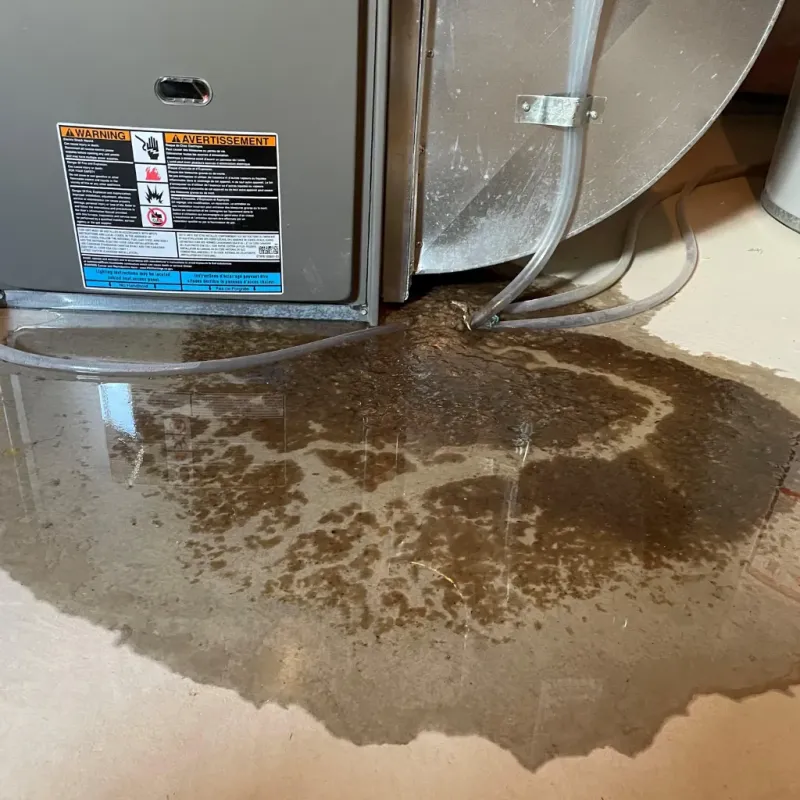 Appliance Leak Cleanup in Lipscomb, AL